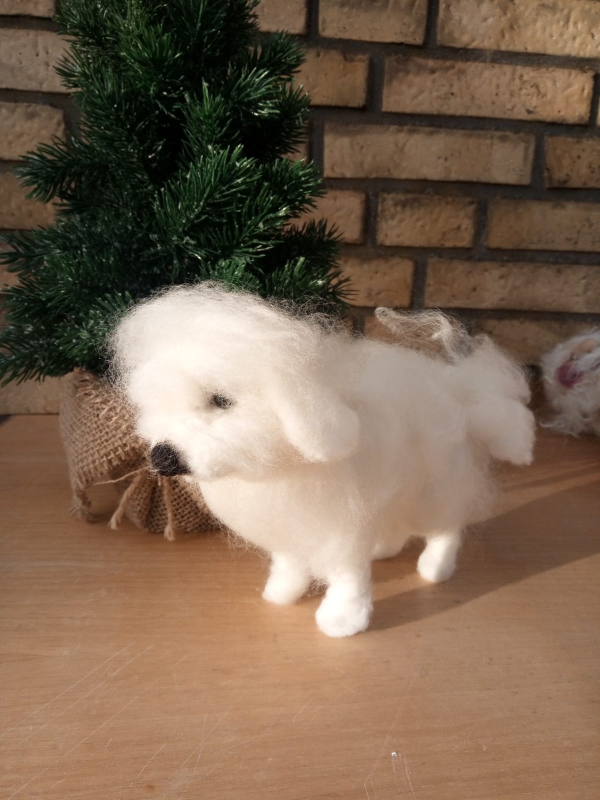 PHOTO 2018 12 04 11 19 36