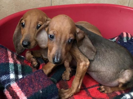 1 75210827 425510725070294 5424893245056352256 n