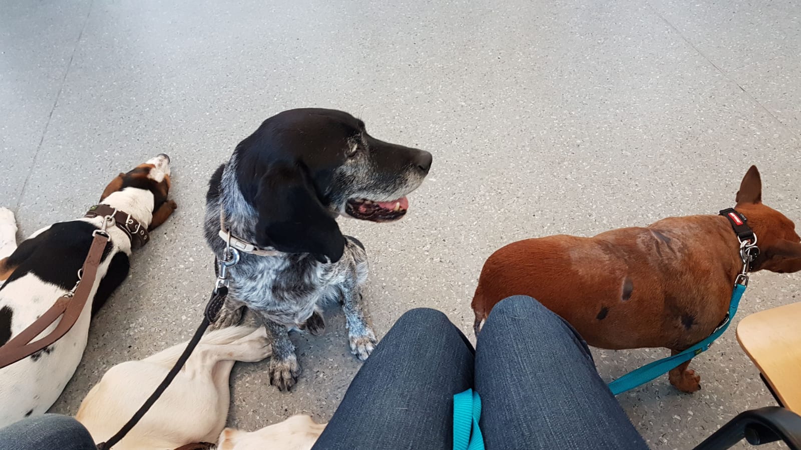 725FE2B3 C59D 4466 BB74 1E93502909D7