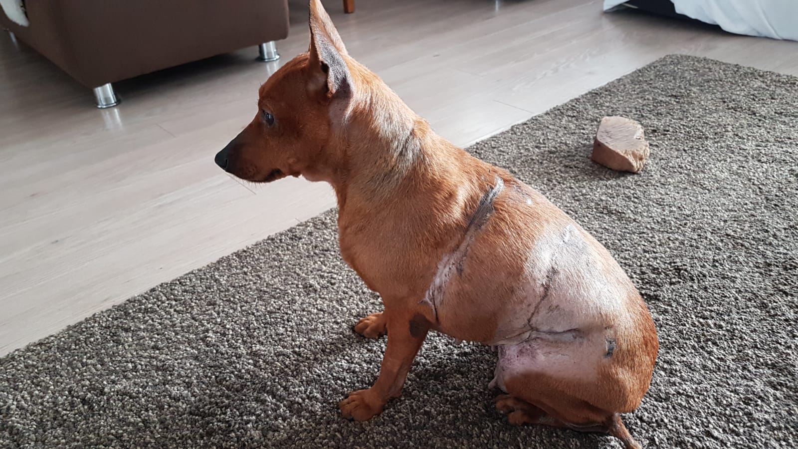 F7EE87F4 D0E1 42F4 9CA3 84FA3989C546