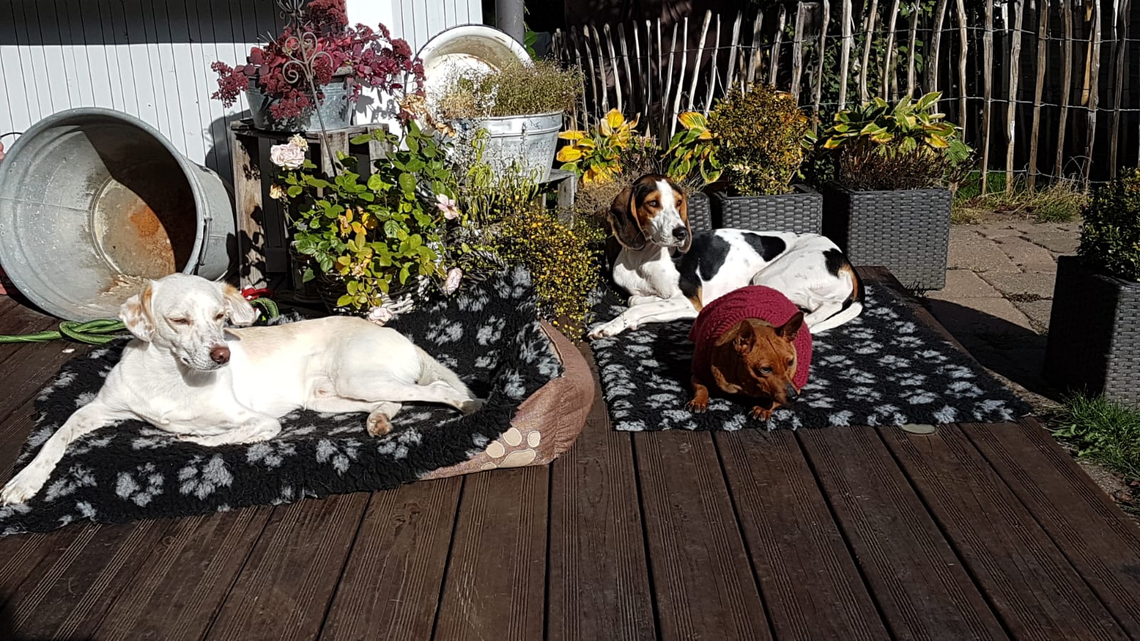 FF97D27D 5C25 46D0 B3E0 0BCD12131387