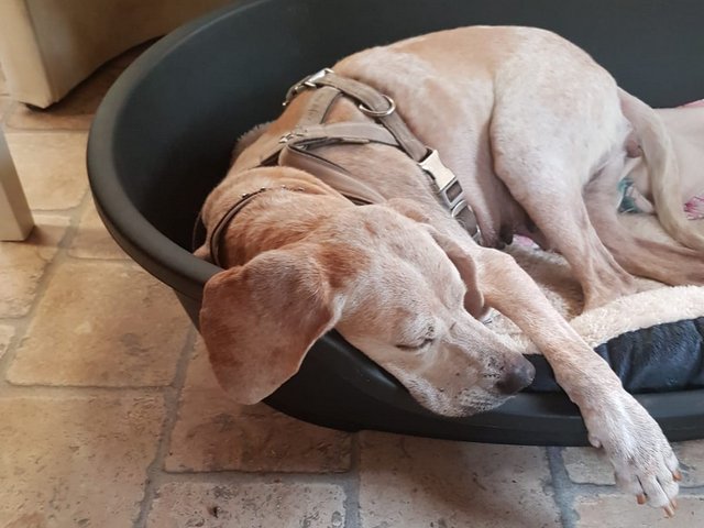 1 PHOTO 2019 05 04 20 01 47