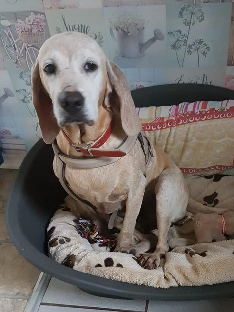 1 PHOTO 2019 05 04 20 02 22