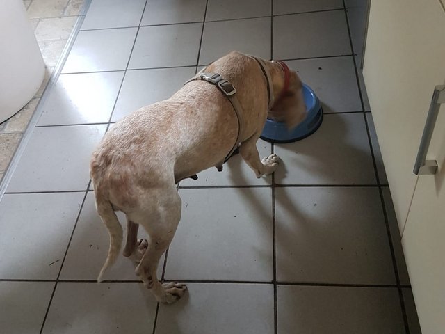 1 PHOTO 2019 05 04 20 02 31