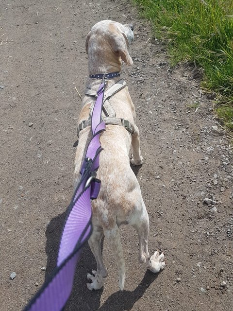 1 PHOTO 2019 05 05 12 42 30