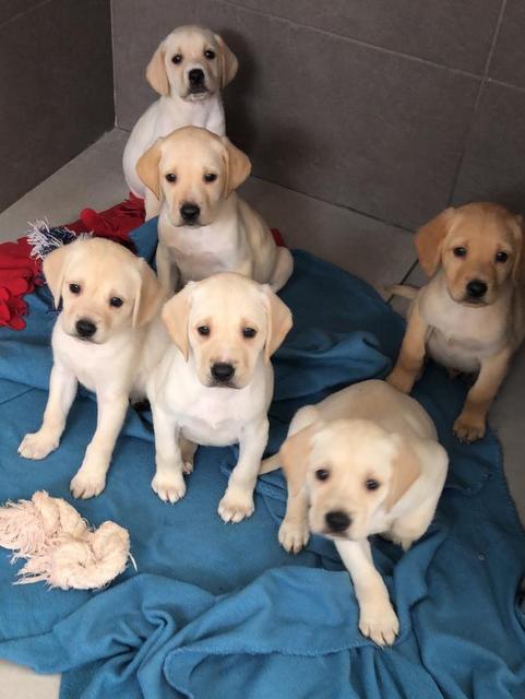 1 PHOTO 2019 04 28 11 23 41