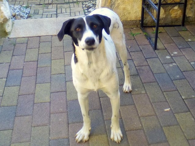 1 PHOTO 2019 09 13 21 16 12