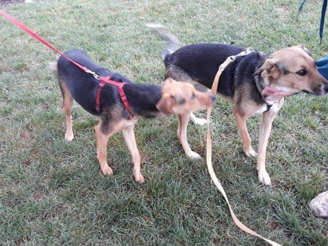 1 PHOTO 2019 09 08 12 07 12