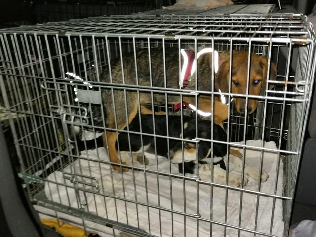 1 PHOTO 2019 09 28 22 15 20