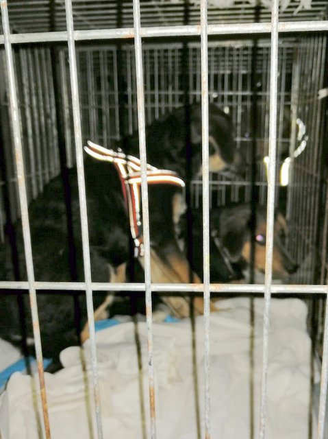 1 PHOTO 2019 09 28 22 15 22