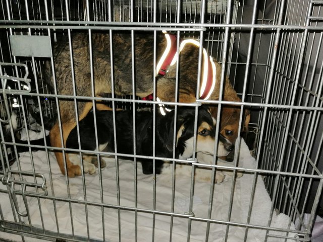 1 PHOTO1 2019 09 28 22 15 20