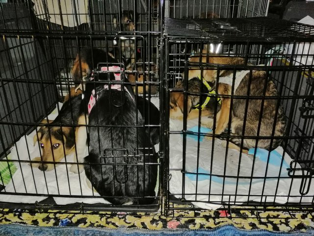 1 PHOTO2 2019 09 28 22 15 21