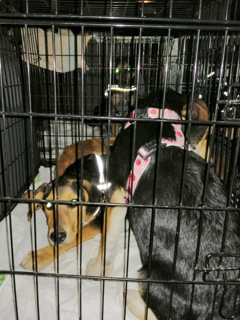 1 PHOTO3 2019 09 28 22 15 21