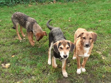 1 PHOTO 2019 10 03 15 20 37