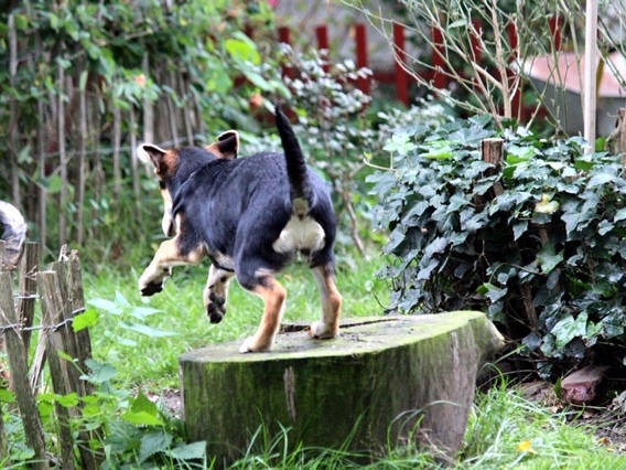 1 PHOTO1 2019 10 03 17 19 03