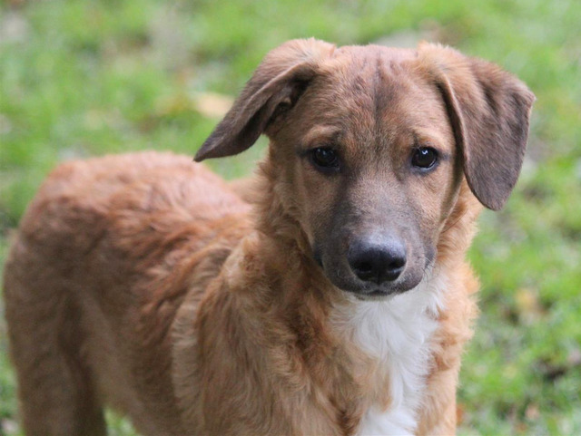 1 PHOTO10 2019 10 03 17 32 08