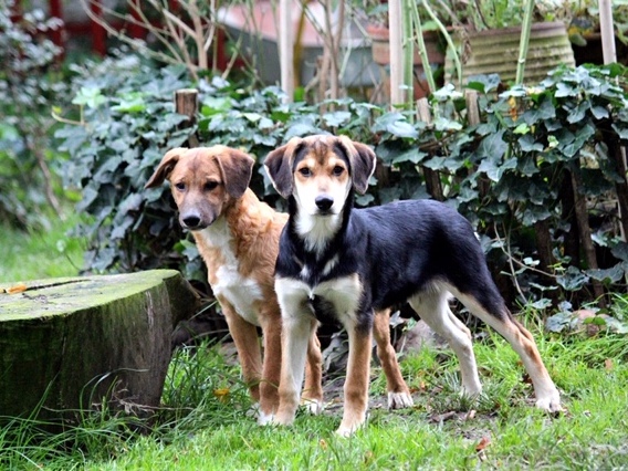 1 PHOTO2 2019 10 03 17 22 31