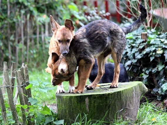 1 PHOTO4 2019 10 03 17 24 04