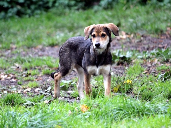 1 PHOTO7 2019 10 03 17 26 40