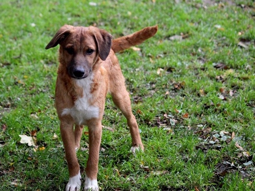 1 PHOTO8 2019 10 03 17 32 08