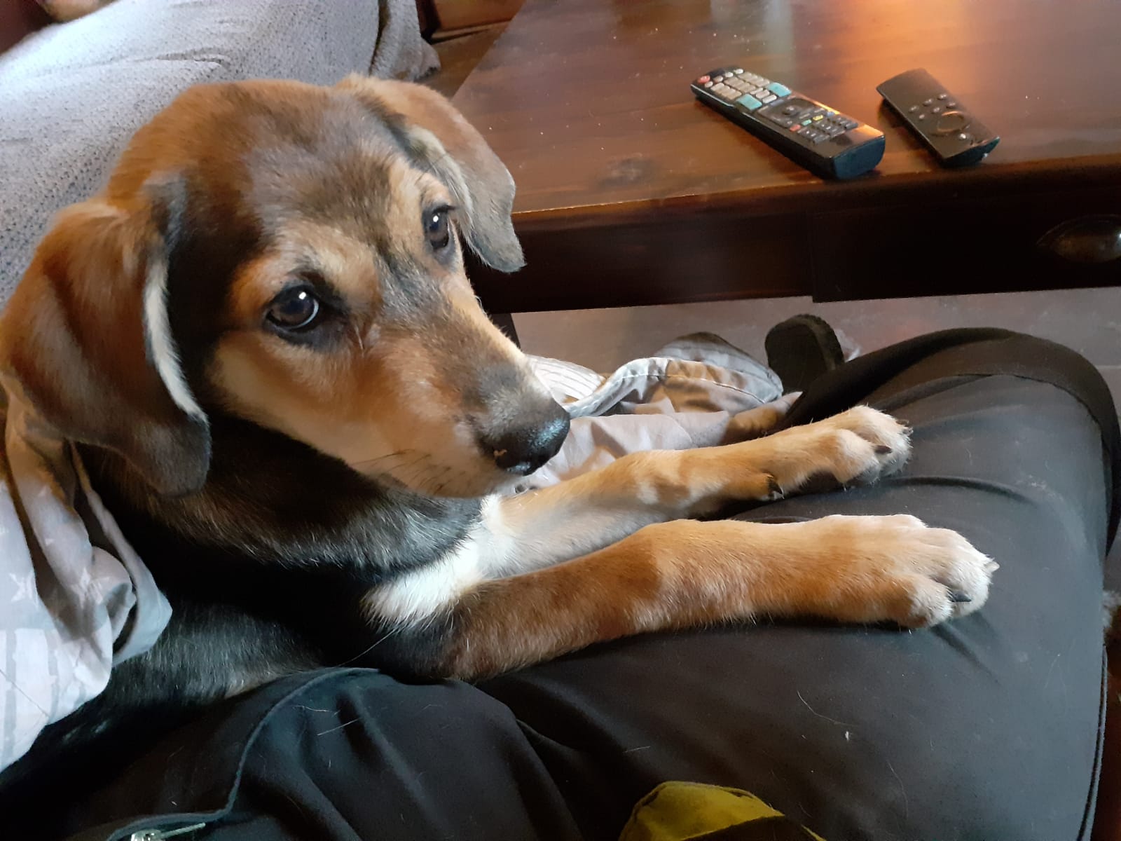 PHOTO 2019 10 04 11 58 01