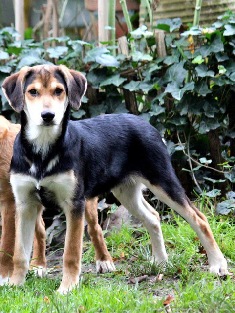 1 PHOTO 2019 10 03 17 22 31