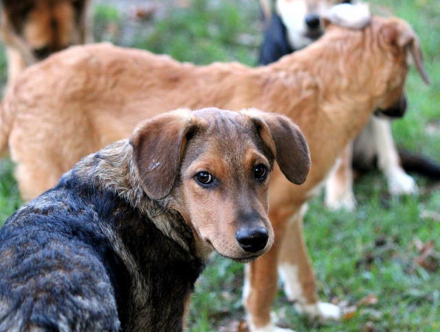 1 PHOTO 2019 10 05 18 35 30