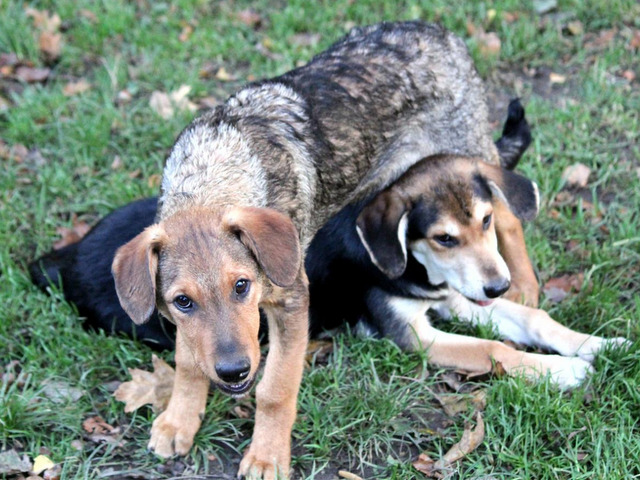 1 PHOTO 2019 10 05 18 37 43