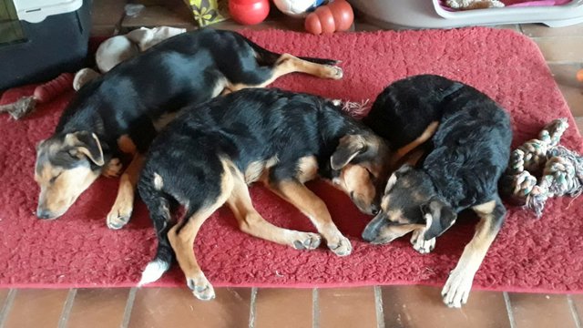 1 PHOTO 2019 10 06 10 43 45