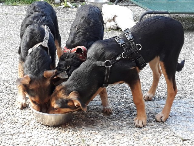 1 PHOTO 2019 10 06 10 44 30