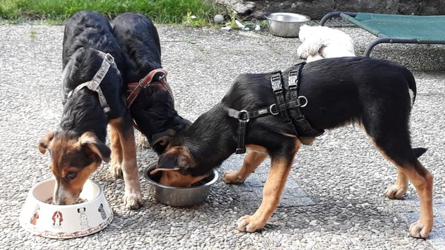 1 PHOTO 2019 10 06 10 44 46