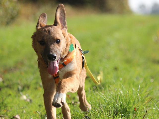 1 PHOTO 2019 10 15 14 39 24