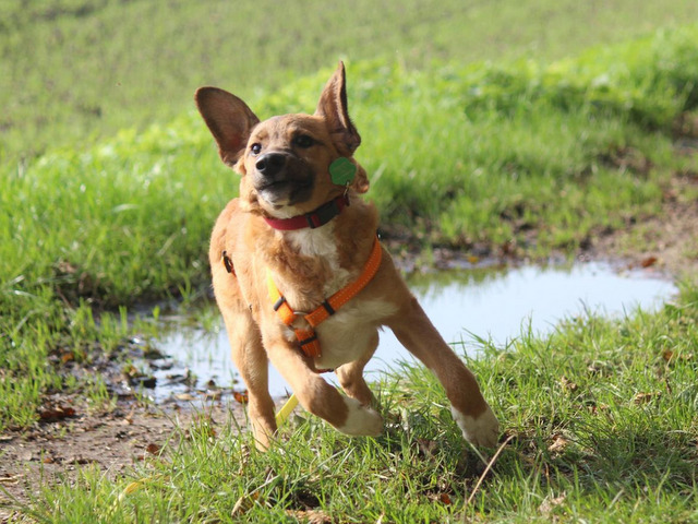 1 PHOTO4 2019 10 15 14 39 26