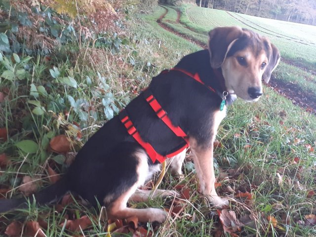 1 PHOTO 2019 10 17 17 50 02