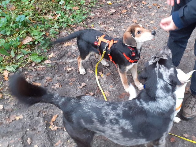 1 PHOTO2 2019 10 20 15 06 38