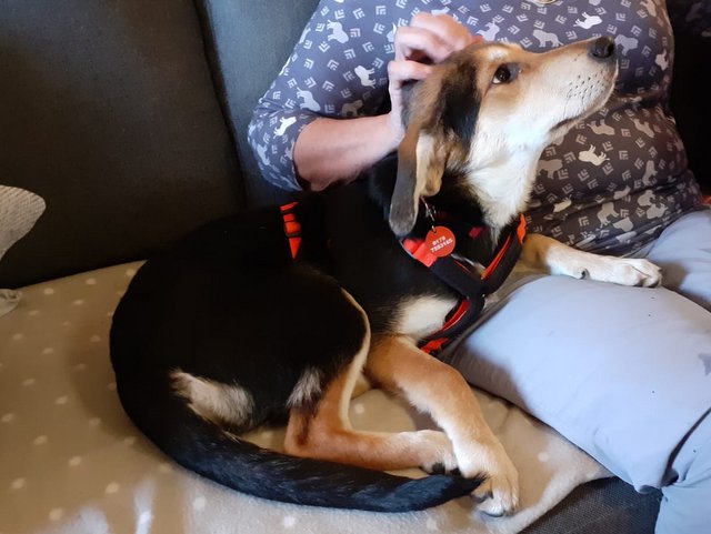 1 PHOTO4 2019 10 20 15 14 20