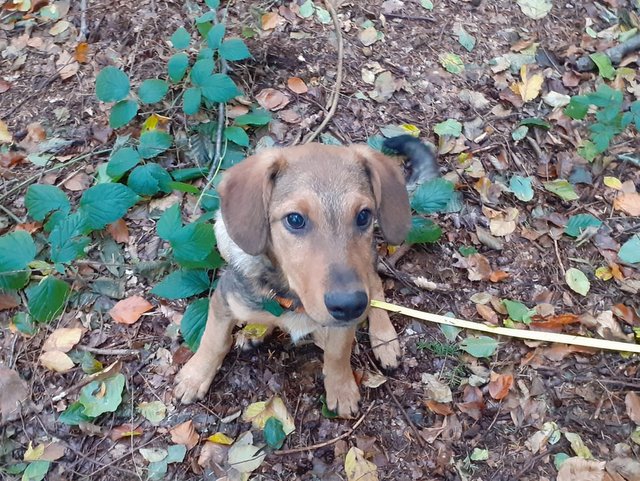 1 PHOTO2 2019 10 14 14 40 02