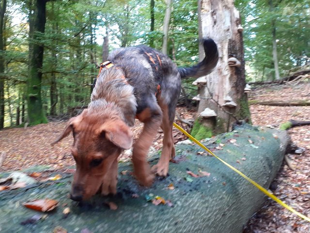 1 PHOTO3 2019 10 14 14 40 22