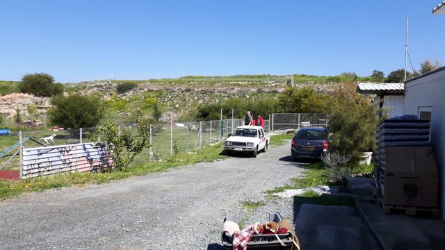 1 PHOTO 2019 03 17 16 49 56