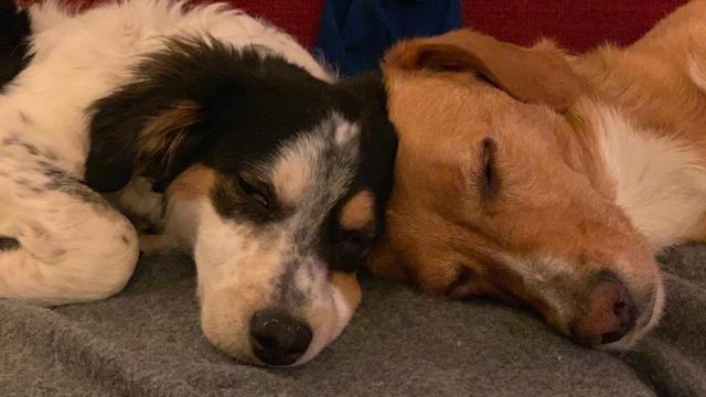 1 PHOTO 2019 04 22 15 42 27