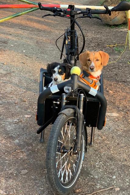 1 PHOTO 2019 04 22 15 44 033