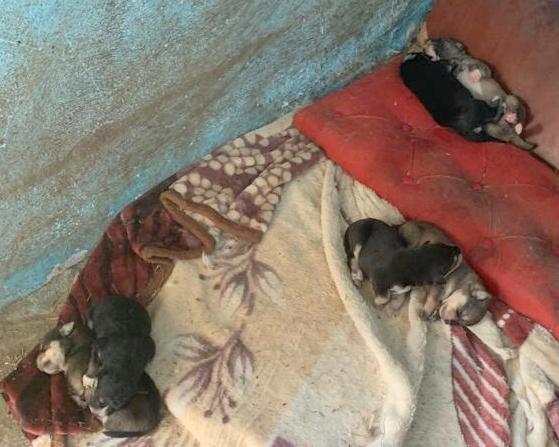 1 PHOTO6 2019 06 11 21 27 003