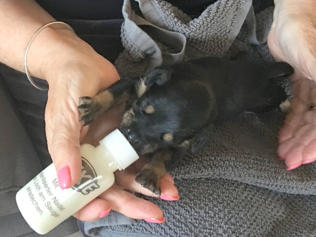 1 cid 16a9217910c510306571