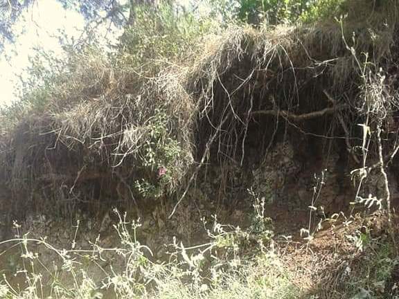 1 PHOTO 2019 04 25 08 32 02