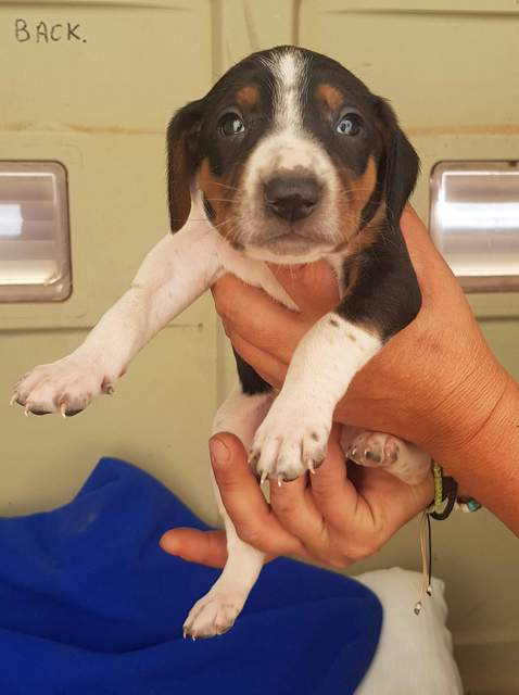 1 received 2634550606560147