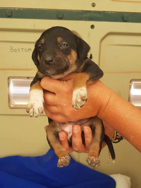 1 received 281078592844824