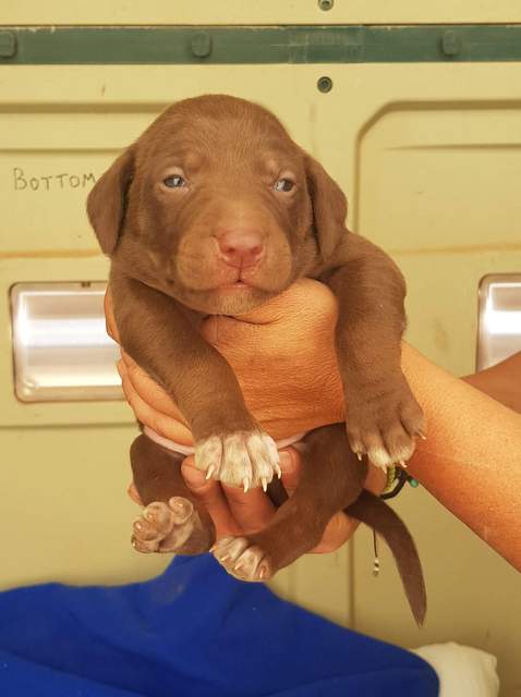 1 received 324297078268227