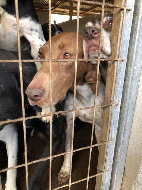 1 PHOTO 2019 04 12 18 47 35