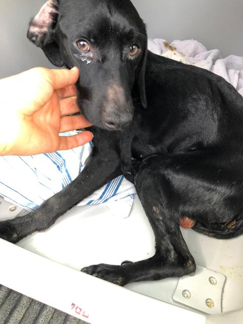 1 PHOTO 2019 04 13 11 31 19