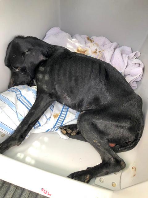 1 PHOTO 2019 04 13 11 31 28